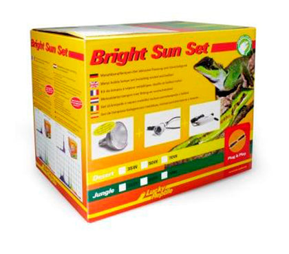Lucky Reptile Bright Sun Set Jungle