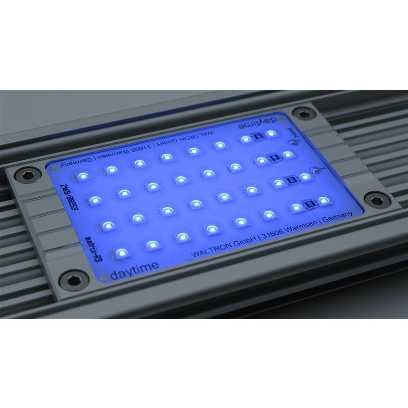 Daytime Led Modul Royal Blue - Meerwasser Bartelt