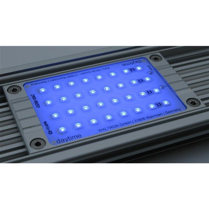 Daytime Led Modul Royal Blue - Meerwasser Bartelt